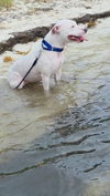 COURTESY POST: Lucy - Photo 2