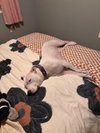 COURTESY POST: Lucy - Photo 4