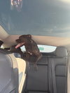 COURTESY POST: Rocky - Photo 3
