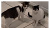 COURTESY POST: Venus & Mitra (Mom & Son) - Photo 4