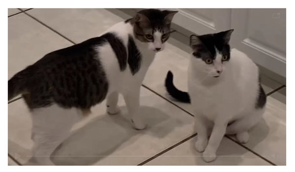 COURTESY POST: Venus & Mitra (Mom & Son)