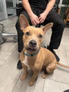 COURTESY POST: Chico - Photo 2