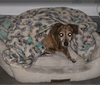 COURTESY POST: Milo - Photo 2