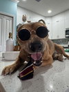 COURTESY POST: Charlie - Photo 1