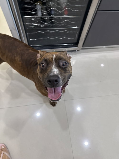 COURTESY POST: Canela photo 3