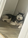 COURTESY POST: Hera - Photo 2