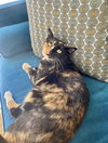COURTESY POST: Cacau - Photo 2