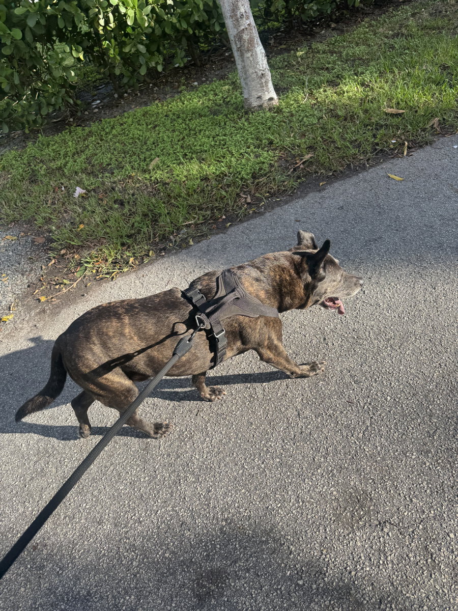 COURTESY POST: Murphy