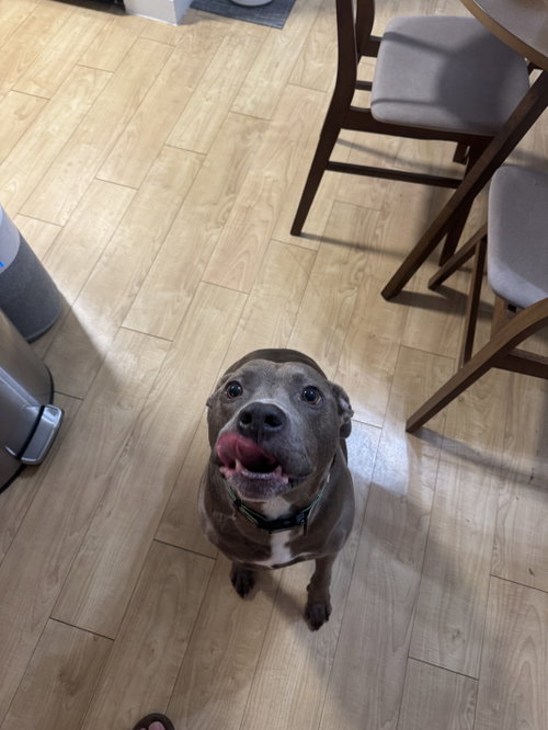 COURTESY POST: Kobe photo 3