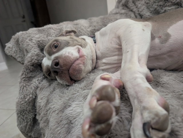 COURTESY POST: Luna