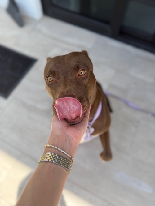 COURTESY POST: Daisy photo 2