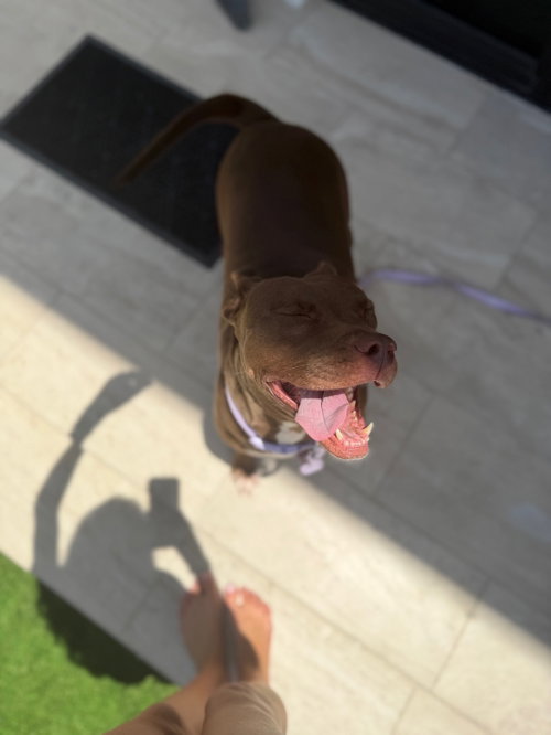 COURTESY POST: Daisy photo 3
