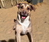 Buddy - Photo 6