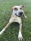Ginny - Photo 2
