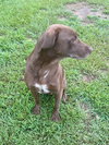 Hunter - Photo 2