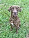 Hunter - Photo 3