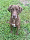 Hunter - Photo 4
