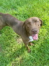 Tucker - Photo 2
