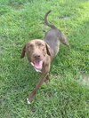 Tucker - Photo 3