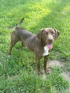 Tucker - Photo 4
