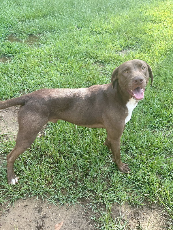 Tucker