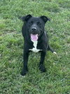 Tasha - Photo 2