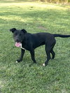 Tasha - Photo 3