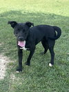 Tasha - Photo 4