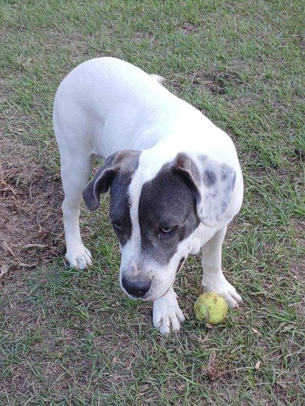 Shiloh image 4