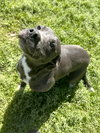 Patches - Photo 2