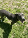 Patches - Photo 3