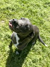 Patches - Photo 4