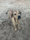 Rocky - Photo 1