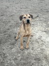 Rocky - Photo 2