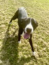 Haley - Photo 3