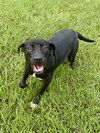 Trixie - Photo 4