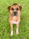 Starsky - Photo 2