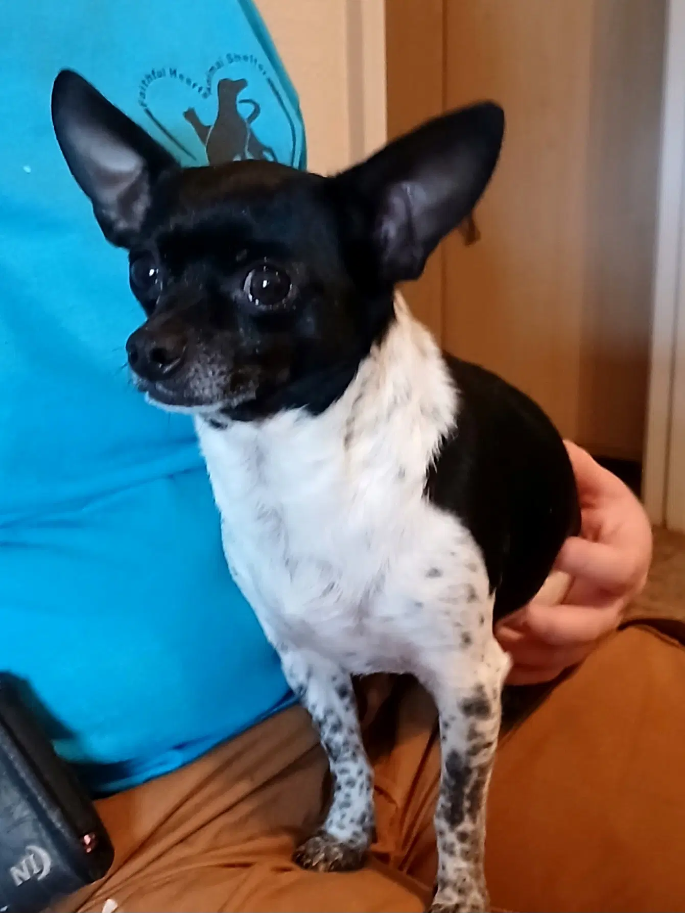 Deedee image 2