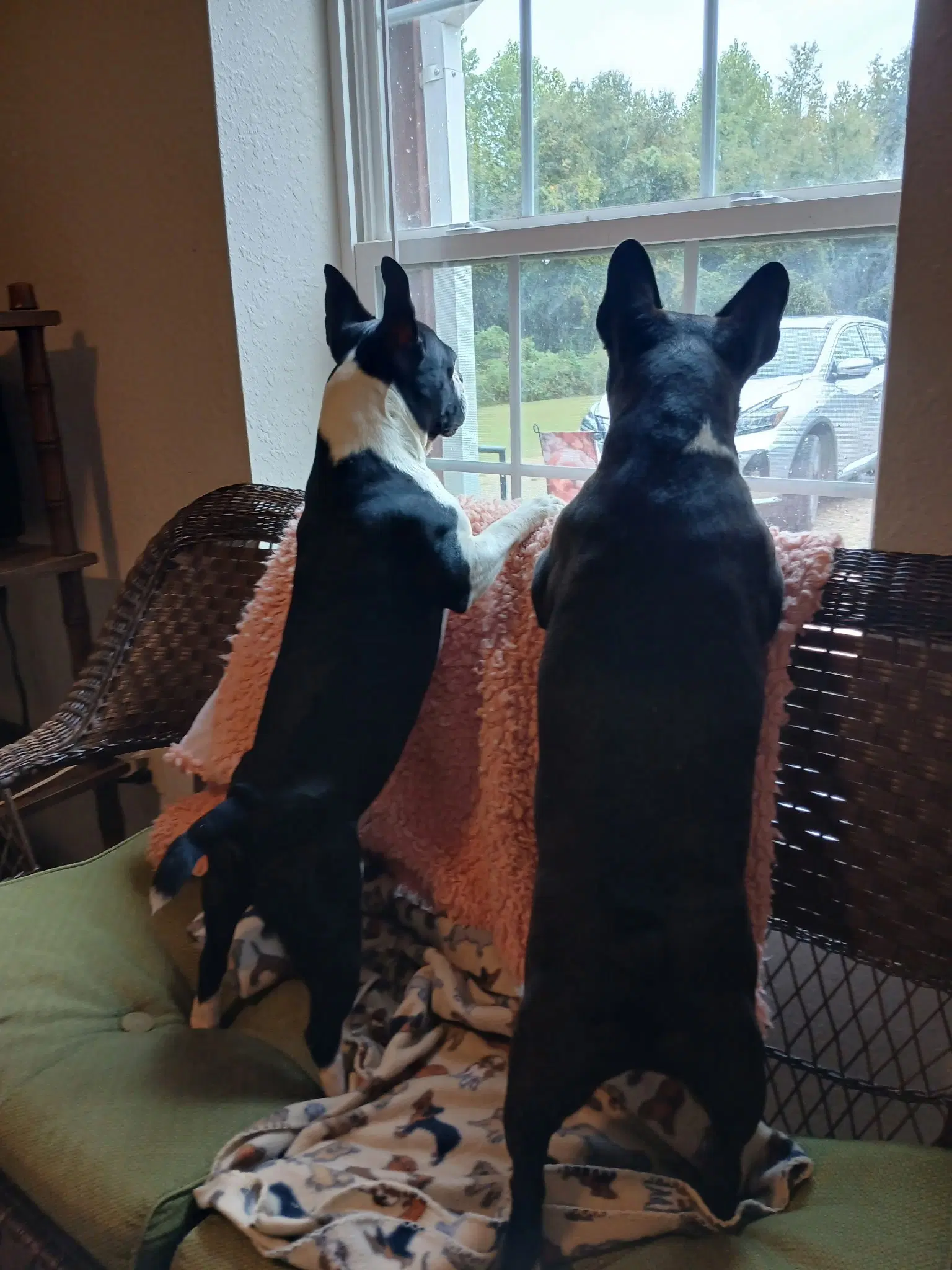 Spike And Jet image 2