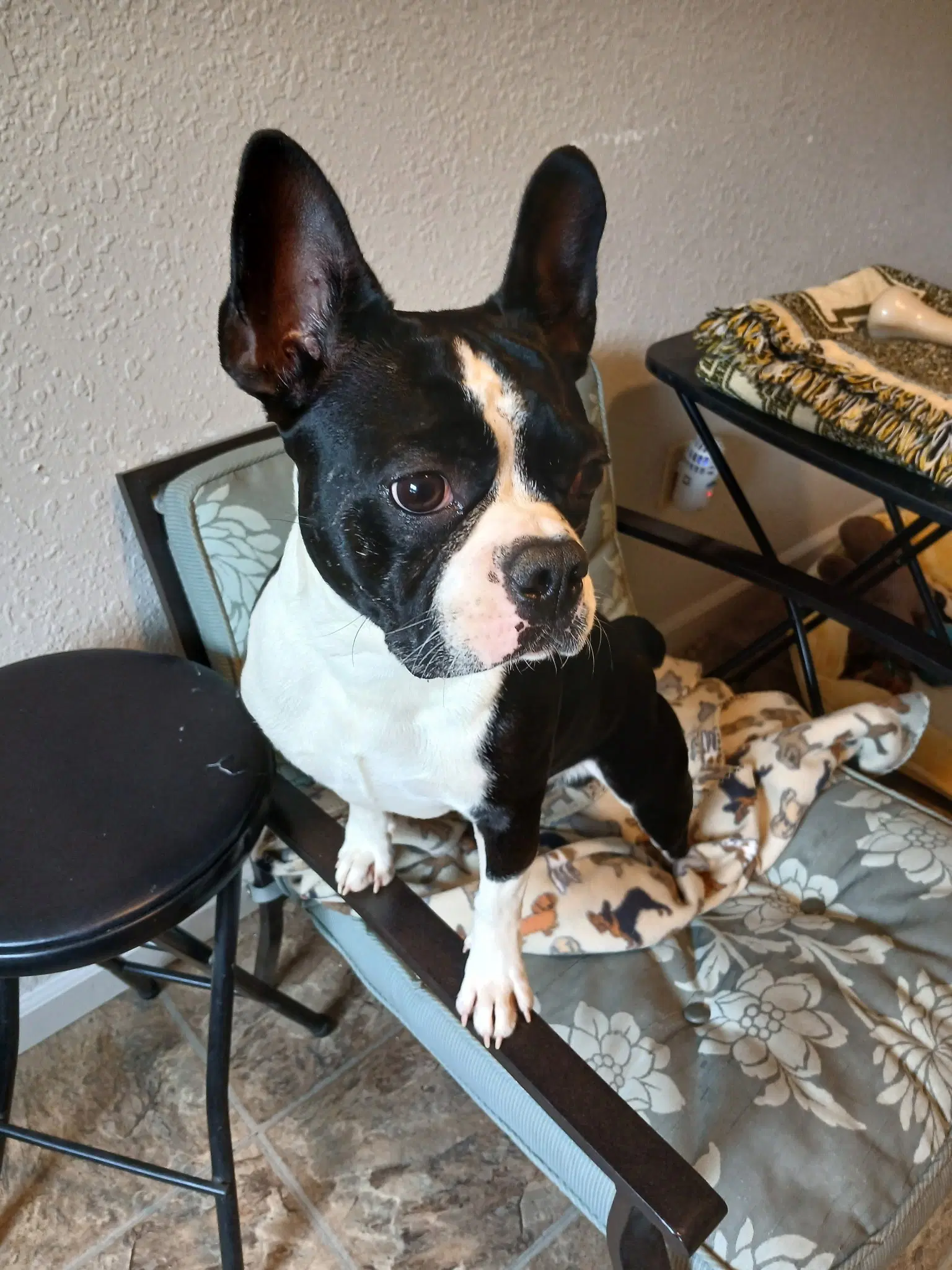 Spike And Jet image 4
