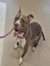 JUNEBUG - Photo 1