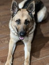 Sandy - Photo 2