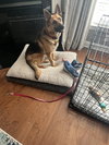 Sandy - Photo 3