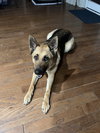 Sandy - Photo 4