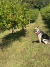 Maggie - Photo 5