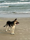 Maggie - Photo 2