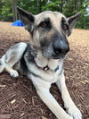 Maggie - Photo 1