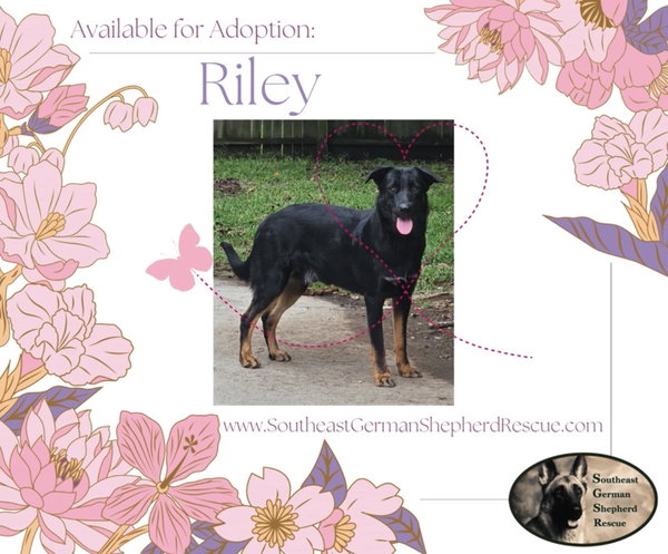Riley