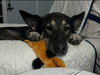 Lily - Photo 1