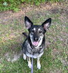 Lily - Photo 3